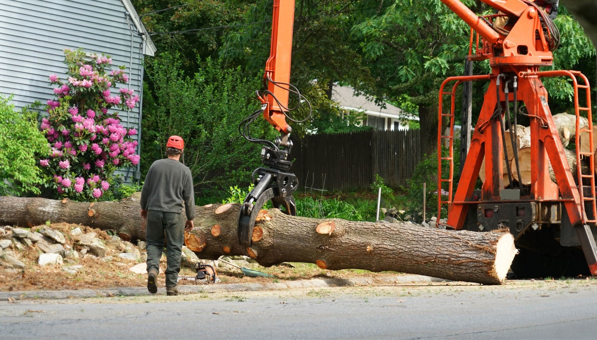Local partner for Tree removal services in Davenport