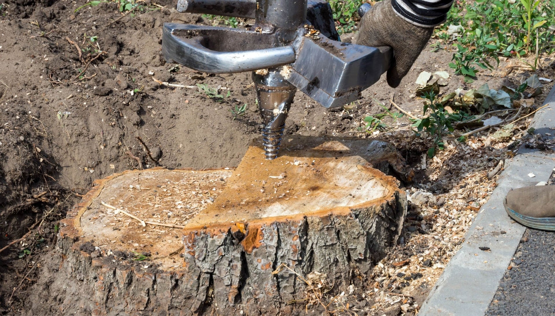 Davenport Tree stump removal